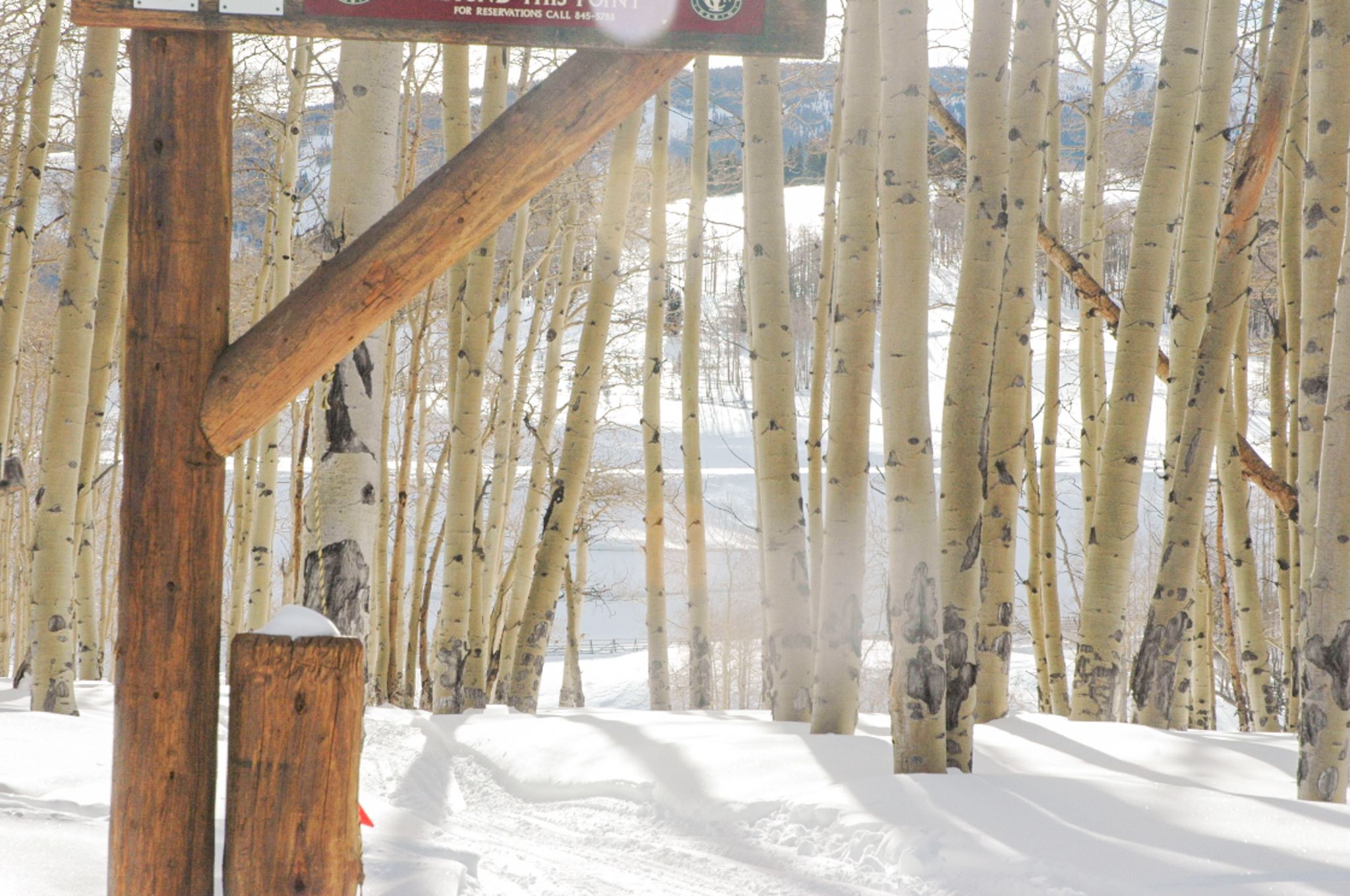 20060114 Vail2006 72